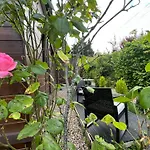 Luxe + Jardin Et Terrasse *