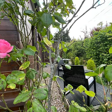 Luxe + Jardin Et Terrasse *