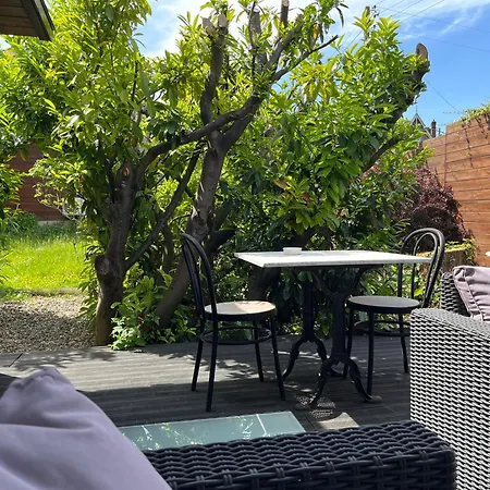 Luxe + Jardin Et Terrasse Pontoise
